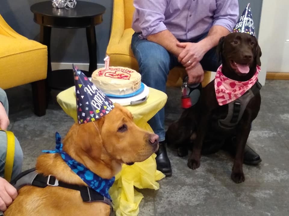Two person celebrating a birthday of their dogs.
